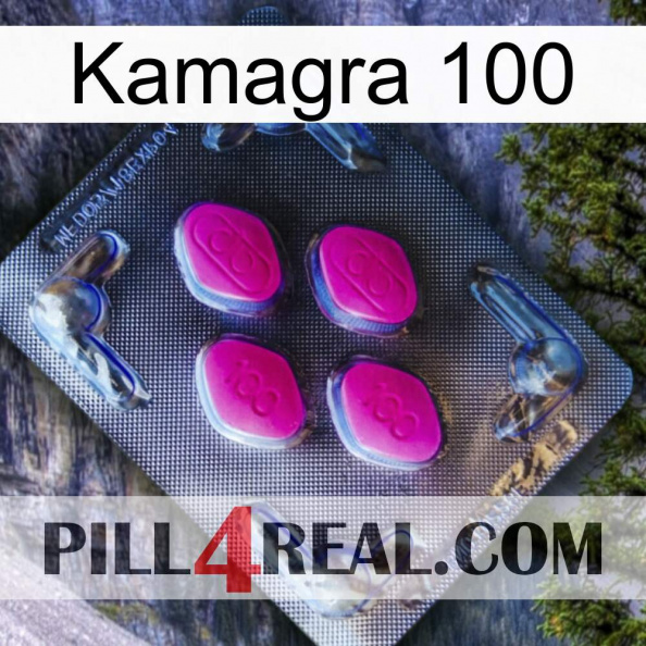 Kamagra 100 02.jpg